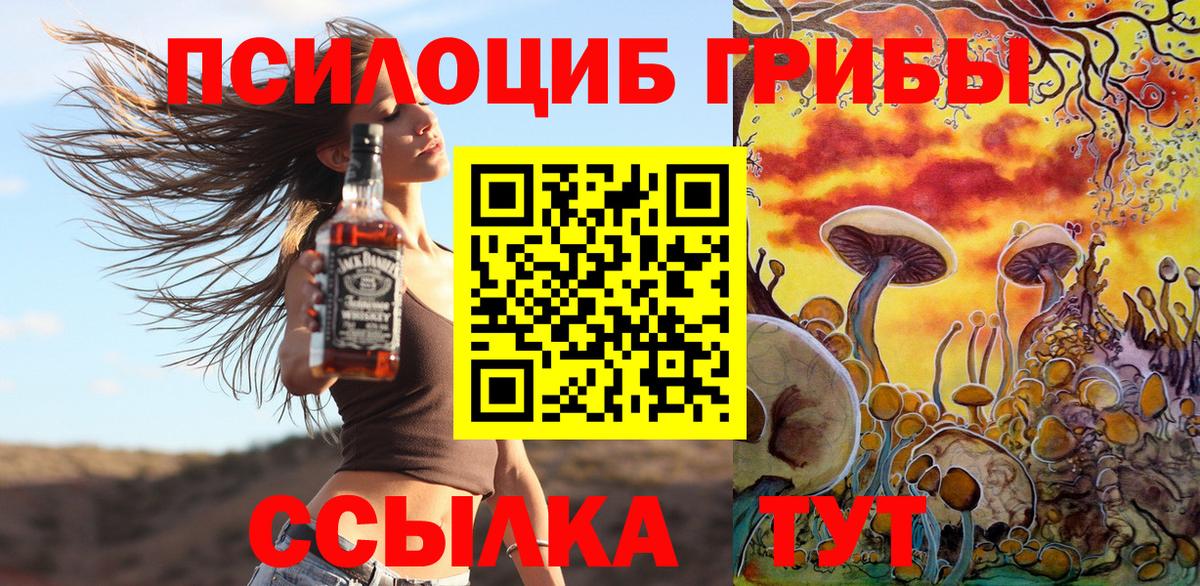 Можга  Галлюциногенные грибы ЛСД  Вход с VPN 